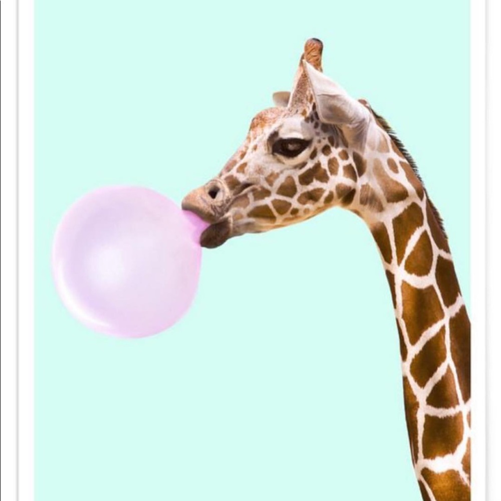 Meet your Posher, Katelyn